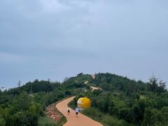 -长虫山生态公园风景林