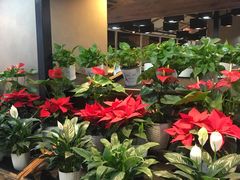 -果蔬好生活超市(乐堤港店)