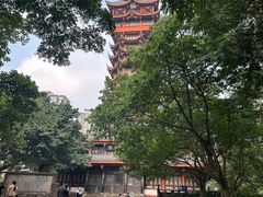 -塔子山公园