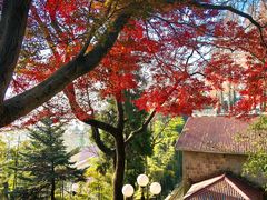 -莫干山风景区