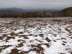 -芦芽山旅游度假区