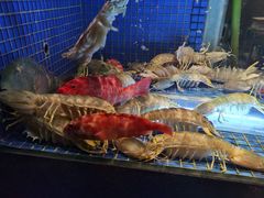 -荣轩(新荣记环球金融中心店)