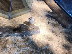 -昆明大悦城未来动物城(螺蛳湾中心店)