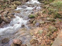 -北纬44度·金珠花海休闲农业旅游景区