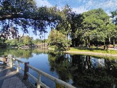 -晓港公园