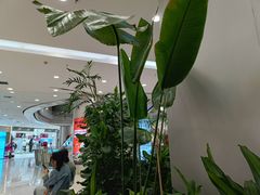 -凯德广场(学府店)