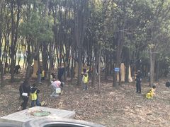 -菊园百果园