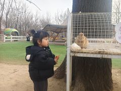 -1982农场