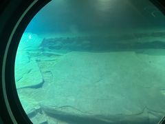 -白鹤梁水下博物馆