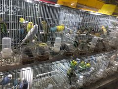 -三旗百汇商品城