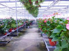 -西部兰花园生态园