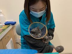 -美迦爱-牙专科·兔科·骨科诊疗中心(北苑店)