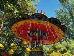 -上海共青森林公园