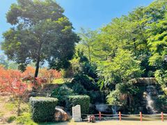 -广州市帽峰山景区