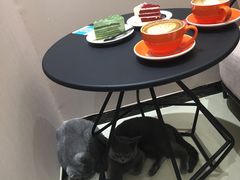 -藏猫猫咖啡主题馆(中央大道店)