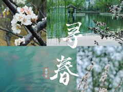 -迎泽公园