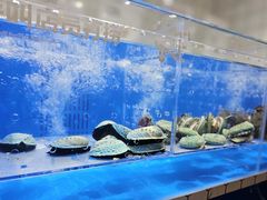 -盒马鲜生(南门口1662店)