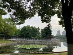 -后襄河公园