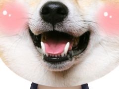 -Best U照相馆证件照·外拍(五角场店)
