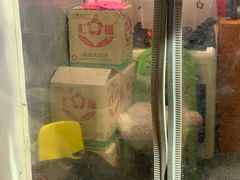 -无声臭豆腐(大井1号店)