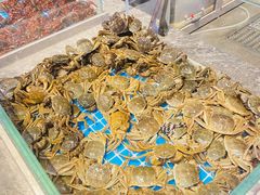 -一方渔歌蒸汽海鲜自助(文化路万达广场店)