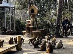 -千岛湖东南湖区