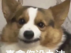 -武庄主特色炒鸡(周恩来纪念馆店)