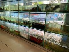 水产区-三亚老渔民海鲜店