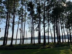 -上海月湖雕塑公园