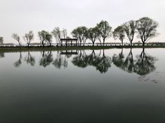 -苏州太湖湖滨国家湿地公园