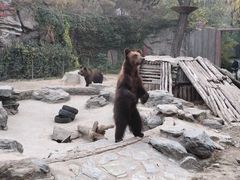 -北京动物园