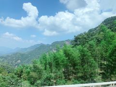 -九华山风景区