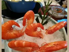 -斯普汇生蚝牛排馆(中骏世界城店)