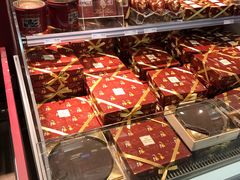 -维也纳国际机场