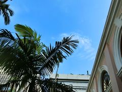 -香港大学