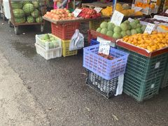 -红星农博物流中心