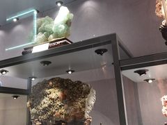 -长江文明馆