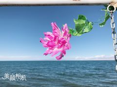 -青海湖国家重点风景名胜区售票处