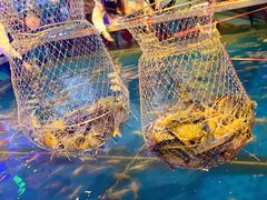 -钳真多钓虾馆·小龙虾海鲜烧烤(九六广场店)