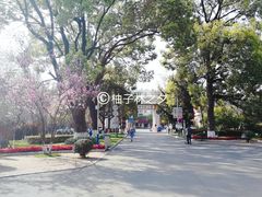 -云南师范大学(一二一西南联大校区)