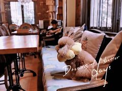 -more than meow吴止猫主题餐厅(承德 中船汇店)