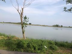 -泗洪洪泽湖湿地景区
