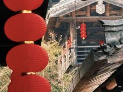 -大唐贡茶院