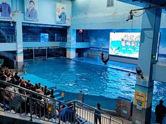 -锦艺城海洋馆