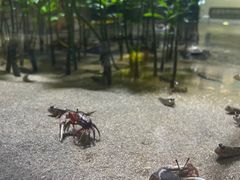 -欢乐海岸海洋奇梦馆