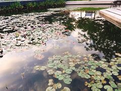 -星巴克(深圳前海企业公馆店)
