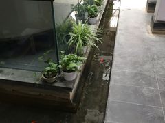 -旺顺阁鱼头泡饼(小红门店)