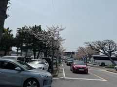 -咸德海水浴场