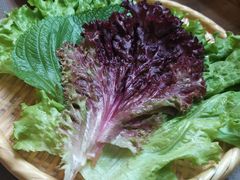 -香猪坊韩国烤肉专属门店(魏公村店)