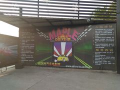 -枫花园汽车电影院(朝阳公园店)